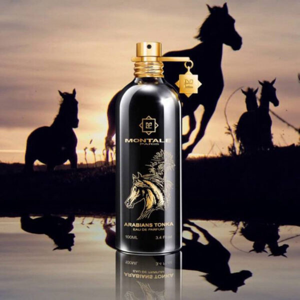MONTALE - ARABIANS TONKA - 5ML | 10ML – Image 4