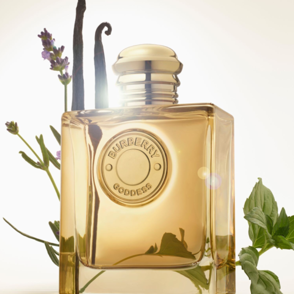 Alternative view of BURBERRY GODDESS - EAU DE PARFUM - 5ML | 10ML
